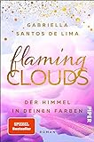 Flaming Clouds – Der Himmel in deinen Farben (Above the Clouds 1): Roman | Liebesroman über den Wolken